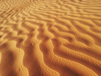 Footprints on sand at beach