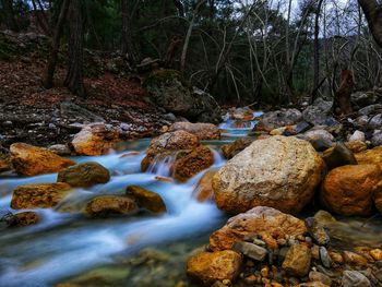 Stream flowing through rocks in forest