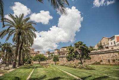 Panoramic view of palm trees and buildings against sky