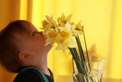 Close-up of boy holding yellow flower in glass