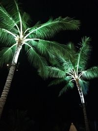 Low angle view of palm tree against sky