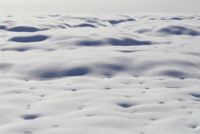 Close-up of snow covered land