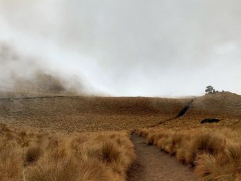 Scenic view of landscape against sky