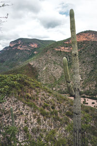 Scenic view of arid landscape against sky