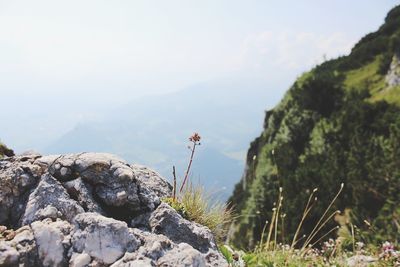 Close-up of rocks by sea against sky