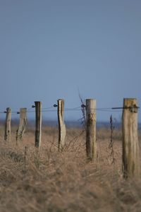 Scenic view of rural landscape