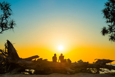 Silhouette people by trees against sky during sunset