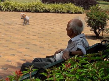 Rear view of man sitting with dog