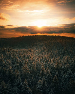 Scenic view of field against sky during sunset