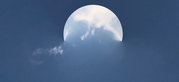 Low angle view of bird flying against blue sky