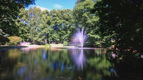 Scenic view of lake against trees in forest
