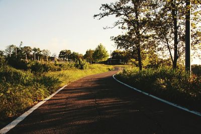 Empty road along plants and trees against sky