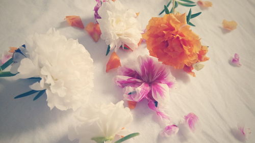 Close-up high angle view of flowers