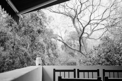 Low angle view of bare trees against sky