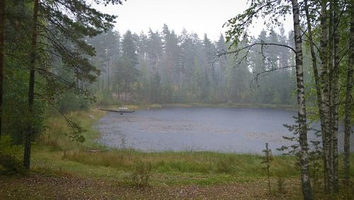 River with trees in background