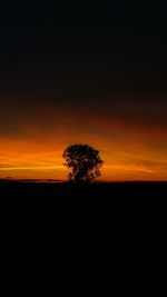 Silhouette trees on field against sky at sunset