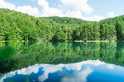 Reflection of trees in calm lake against the sky