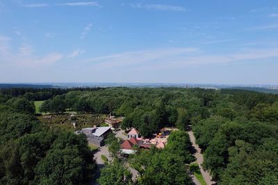 Scenic view of houses amidst trees