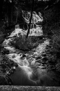 Scenic view of waterfall in forest