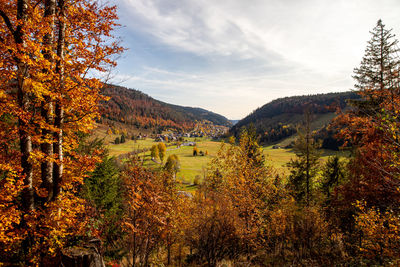 Trees on field against sky during autumn