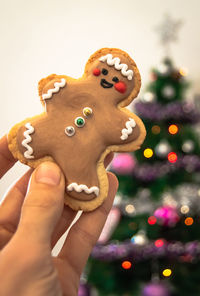 Close-up of human hand holding christmas tree