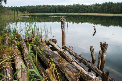 Wooden posts in lake against sky