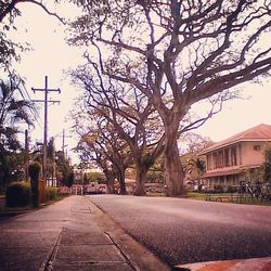 Empty road along buildings