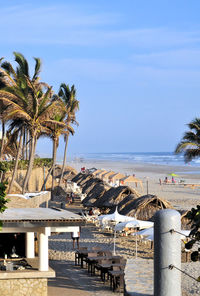 Palm trees by swimming pool against sky