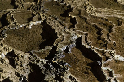 soil