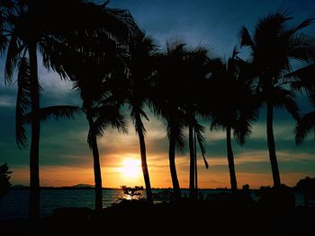 Silhouette palm trees on beach against sky during sunset