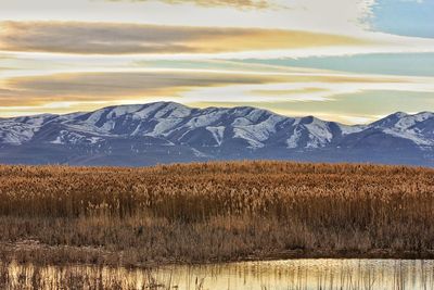 Scenic view of agricultural field by mountains against sky during sunset