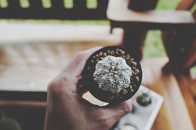 Close-up of person holding ice cream