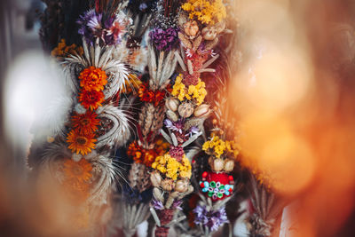 Close-up of multi colored flowering plants in market