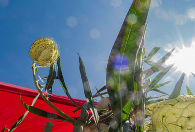 Low angle view of flowering plants against sky