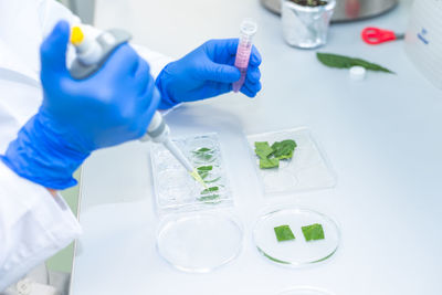 Cropped hand of scientist working in laboratory