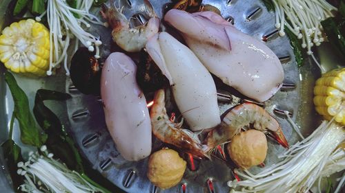 High angle view of fish in container