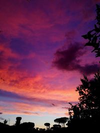 Low angle view of silhouette trees against sky at sunset