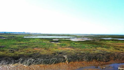 Scenic view of sea against clear sky