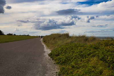 Road amidst plants and trees against sky