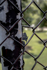 Close-up of chainlink fence