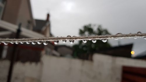 Close-up of water against blurred background