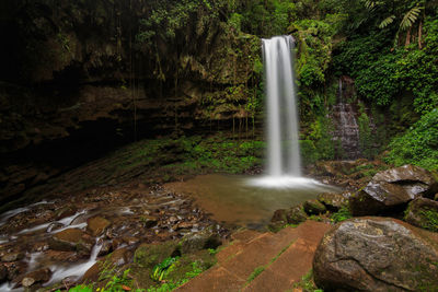 Scenic view of waterfall in forest