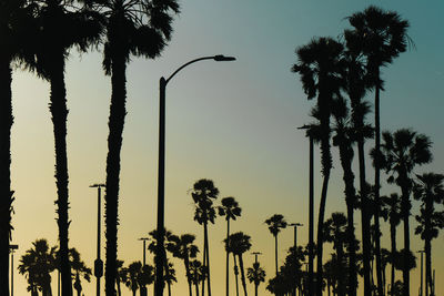 Low angle view of silhouette palm trees against sky during sunset