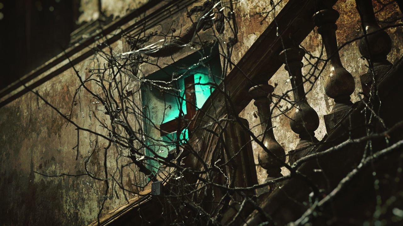 branch, tree, no people, nature, built structure, plant, architecture, outdoors, building exterior, metal, night, building, abandoned, low angle view, bare tree, damaged, plant part, wall - building feature, close-up