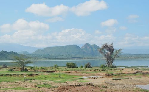 Scenic view of field against sky