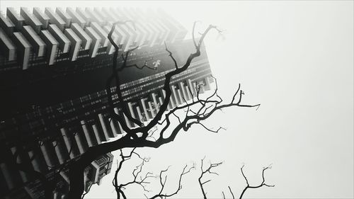 Low angle view of built structure