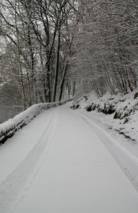 Snow covered road amidst trees during winter