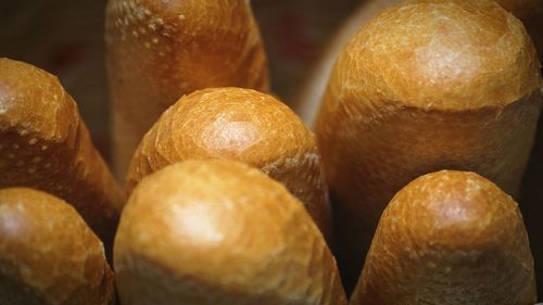 Close-up of bread