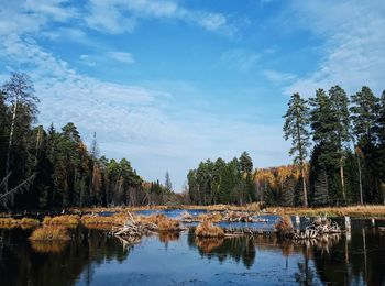 Scenic view of lake in forest against sky