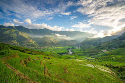 Scenic view of agricultural field against sky